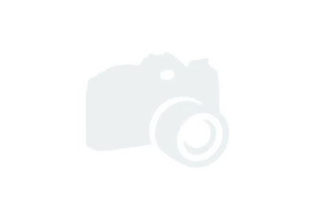 PawPrint Merch